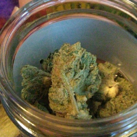 Meet your Posher, Willakai - Picture 1 of 1